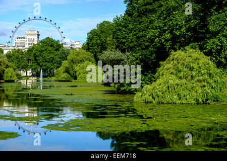 Royaume-uni, Angleterre, Londres, St James Park est le plus ancien parc royal Banque D'Images