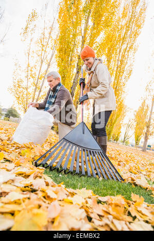 Older Caucasian woman raking autumn leaves Banque D'Images