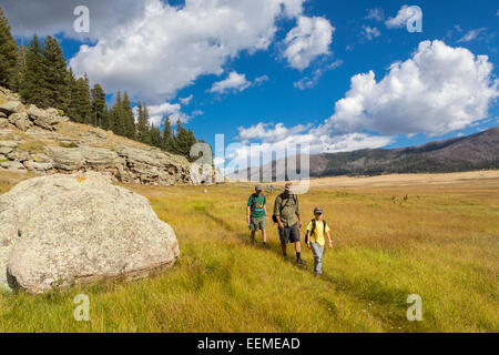 Les hommes de race blanche et garçon randonnée dans les paysages à distance Banque D'Images