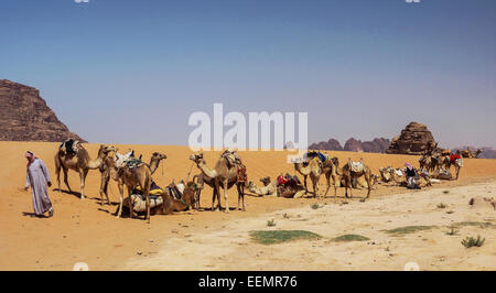 Paysage désertique avec des chameaux touristiques en attente à Wadi Rum, Jordanie Banque D'Images