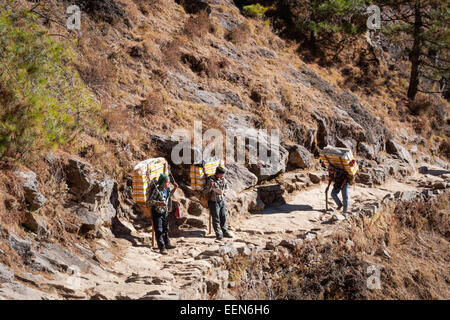 Trois porteurs transportant des plaques de bière en montée à Namche Bazar, au Népal Banque D'Images