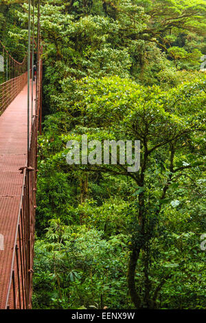 Pont suspendu haut permettant aux touristes pour voir la faune dans le couvert forestier. Réserve Biologique de Monteverde, Costa Rica. Banque D'Images