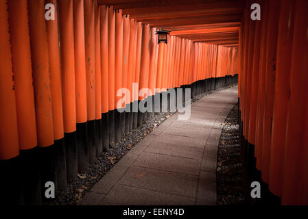 Des milliers de portes torii rouges bordent le chemin au Sanctuaire Fushimi Inari à Kyoto, au Japon. Banque D'Images