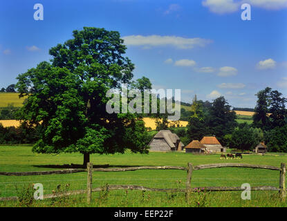 Weald et Downland musée vivant. South Downs. West Sussex. L'Angleterre. Banque D'Images