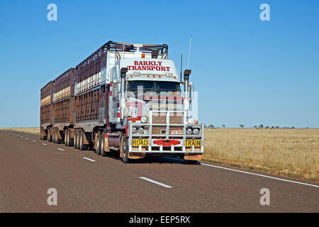 Transport de bétail par triple road train équipé de roo bar sur la route de Barkly, Territoire du Nord, Australie Banque D'Images