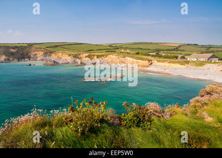 La belle crique Dollar à Gunwalloe Cornwall, Angleterre Angleterre Europe Banque D'Images