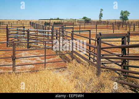 Portes de métal stylo / corral à cattle station dans l'outback australien, Territoire du Nord, Australie Banque D'Images