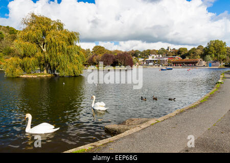 Lac de plaisance Helston Cornwall England UK Europe Banque D'Images