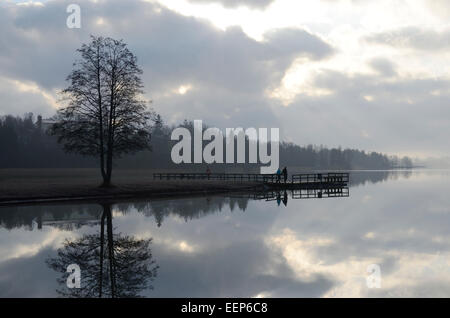 Paysage d'été, le lac et dans le brouillard de la jetée en bois Banque D'Images