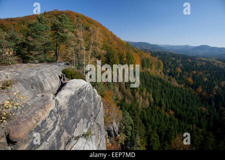 Vue de l'étable à la grande Zschand / Montagnes de Grès de l'Elbe / Natiobnalpark La Suisse Saxonne, Allemagne Banque D'Images