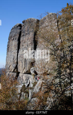 Vue de l'étable à la grande Zschand / Montagnes de Grès de l'Elbe / Natiobnalpark La Suisse Saxonne, Allemagne Banque D'Images