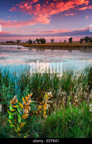 Lever du soleil peint le ciel dans l'est du Colorado sur un beau matin de septembre Banque D'Images