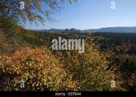 Vue de l'étable à la grande Zschand / Montagnes de Grès de l'Elbe / Natiobnalpark La Suisse Saxonne, Allemagne Banque D'Images