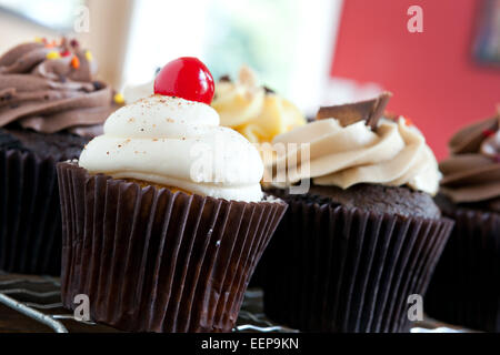 Cupcakes gastronomique libre Banque D'Images