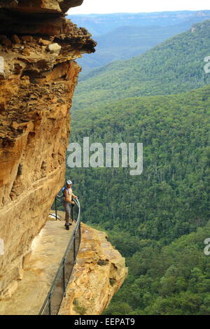 Un male hiker repose et jouit de la vue sur les chutes de Wentworth National Pass dans les Blue Mountains, près de Sydney en Australie. Banque D'Images