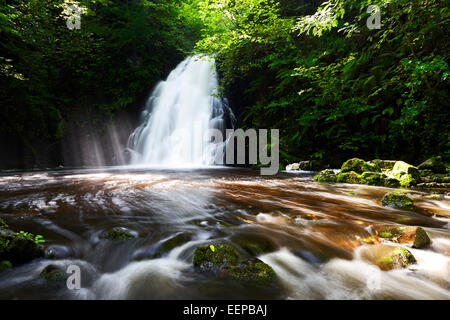 Glenoe cascade dans le comté d'Antrim en Irlande Banque D'Images