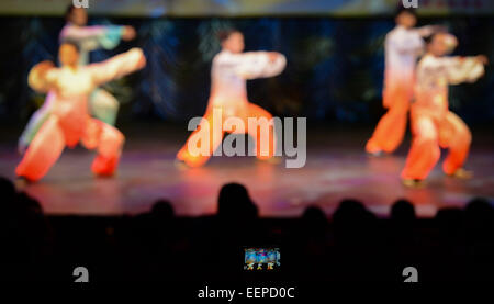 Johannesburg, Afrique du Sud. 20 Jan, 2015. Un spectateur prend une photo de la performance de 5 athlètes lors d'un show Kongfu à Johannesburg, Afrique du Sud, le 20 janvier, 2015. Un total de 12 athlètes en visite de l'Association Chinoise de Wushu a fait un show Kongfu ici mardi. © Zhai Jianlan/Xinhua/Alamy Live News Banque D'Images