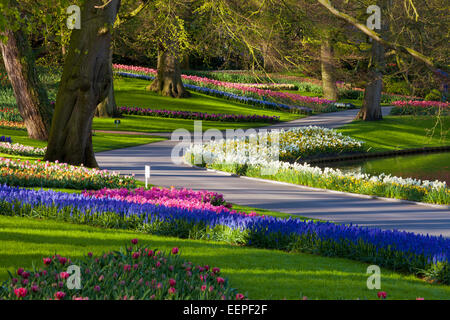 Chemin à travers les jardins de Keukenhof, Hollande méridionale, Pays-Bas Banque D'Images