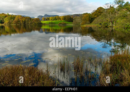 Loughrigg dans le Parc National du Lake District, Cumbria Banque D'Images