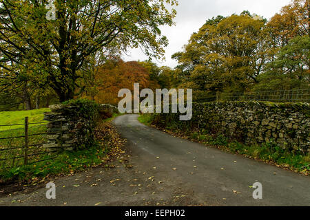 Loughrigg dans le Parc National du Lake District, Cumbria Banque D'Images