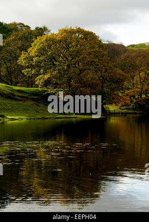 Loughrigg dans le Parc National du Lake District, Cumbria Banque D'Images