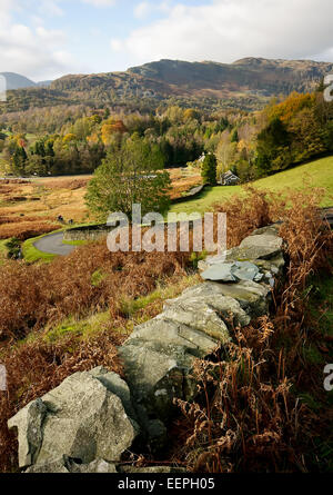 Loughrigg dans le Parc National du Lake District, Cumbria Banque D'Images