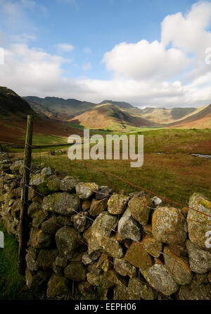 Loughrigg dans le Parc National du Lake District, Cumbria Banque D'Images