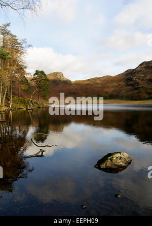 Loughrigg dans le Parc National du Lake District, Cumbria Banque D'Images