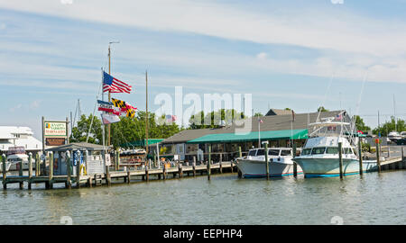 Le Maryland, Eastern Shore, Tilghman Island, Knapp's Narrows Marina Banque D'Images