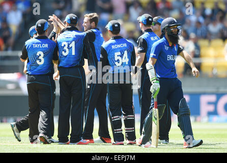 Wellington, Nouvelle-Zélande. Feb 20, 2015. Tim Southee célèbre le guichet de Moeen Ali au cours de l'ICC Cricket World Cup match entre la Nouvelle-Zélande et l'Angleterre à Wellington, Nouvelle-Zélande. Vendredi 20 février 2015. Credit : Action Plus Sport/Alamy Live News Banque D'Images