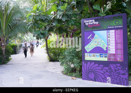 Gardens by the Bay Tree Grove et Super, Marina Bay, Singapour. Banque D'Images