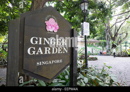 Les Jardins botaniques de Singapour. Jardin de gingembre. Banque D'Images