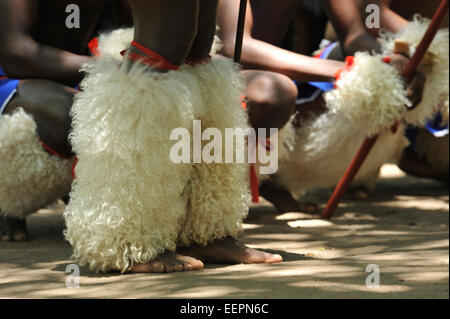 Matsamo, Swaziland, leggings blanc moelleux sur les jambes de danseur traditionnel masculin à thématique culturelle village, les gens, danser, s'habiller Banque D'Images