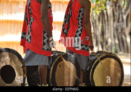 Robe traditionnelle colorée de deux musiciens qui jouent les femmes swazies de vache traditionnel batterie pendant le chant et la danse, spectacle Matsamo Swaziland Banque D'Images