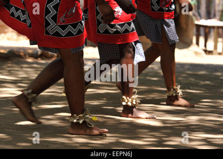 Mouvement synchronisé à la jambe et pied de trois danseurs femmes Swazi au cours de danse traditionnelle, spectacle pour les touristes, le village culturel de Matsamo, Swaziland Banque D'Images