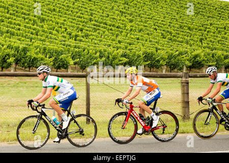 Adelaide Hills, Australie. 21 janvier, 2015. Jack Bobridge (AUS) de l'équipe UNISA-Australia (centre) porte toujours le maillot de couleur ocre leaders après 2 étape Tour Down Under. Il est vu avec coéquipiers avant et l'arrière alors qu'ils essaient de maintenir les dirigeants dans le new jersey. L'étape 2 a eu lieu dans les collines d'Adélaïde en Australie. Banque D'Images