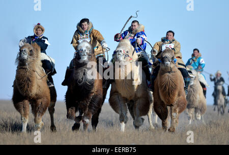 Bannière Ujimqin l'Est de la Chine, région autonome de Mongolie intérieure. 21 Jan, 2015. Bergers prendre part à une course de chameaux au cours d'un hiver au Nadam Bannière Ujimqin, Chine du nord, région autonome de Mongolie intérieure, le 21 janvier 2015. Nadam de masse est un festival mongol traditionnel où les gens célébrer les récoltes et prier pour la bonne chance. Les nomades locaux participeront à une série de manifestations sportives, telles que le tir à l'arc, courses de chevaux, les courses de chameaux et de lutte mongole. Credit : Ren Junchuan/Xinhua/Alamy Live News Banque D'Images