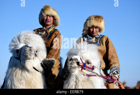 Bannière Ujimqin l'Est de la Chine, région autonome de Mongolie intérieure. 21 Jan, 2015. Bergers sur leurs chameaux, participer à un Nadam d'hiver dans l'Est de la bannière Ujimqin, Chine du nord, région autonome de Mongolie intérieure, le 21 janvier 2015. Nadam de masse est un festival mongol traditionnel où les gens célébrer les récoltes et prier pour la bonne chance. Les nomades locaux participeront à une série de manifestations sportives, telles que le tir à l'arc, courses de chevaux, les courses de chameaux et de lutte mongole. Credit : Ren Junchuan/Xinhua/Alamy Live News Banque D'Images