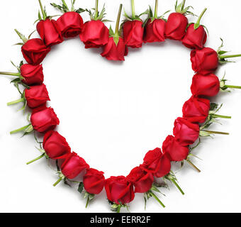 Coeur de roses rouge isolé sur fond blanc Banque D'Images