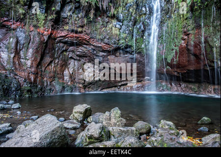 25 fontes, Sentier Levada Risco près de Rabacal, Madère Banque D'Images