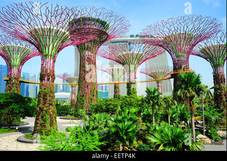 Gardens by the Bay à Singapour Banque D'Images