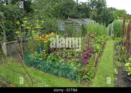 Plantes ornementales potager biologique, Cheshire, Royaume-Uni Banque D'Images