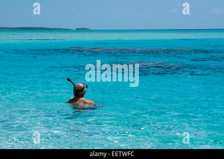 Îles Cook. L'île de Palmerston, un classique atoll. La plongée dans des eaux cristallines du lagon peu profond autour de Palmerston. Banque D'Images