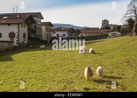 Navires dans un champ de Bera village, Navarre, Espagne Banque D'Images