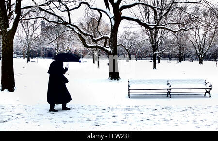 New Haven-- une femme se promène le long de la rue du Temple à travers la neige légère en début d'après-midi de lundi. Banque D'Images