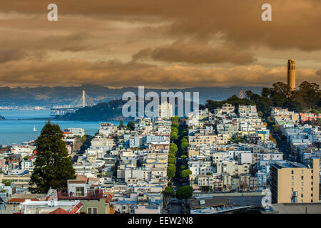 Vue de dessus plus Telegraph Hill et la Coit Tower, San Francisco, California, USA Banque D'Images