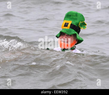 Milford CT USA-- riche Gorman de Milford jouit d'un bain dans Long Island Sound au cours de la 9e édition à Leap Farfadet Walnut Beach. Près de 100 personnes bared le temps de l'eau glaciale pour amasser des fonds pour l'alphabétisation Milford Center. Banque D'Images