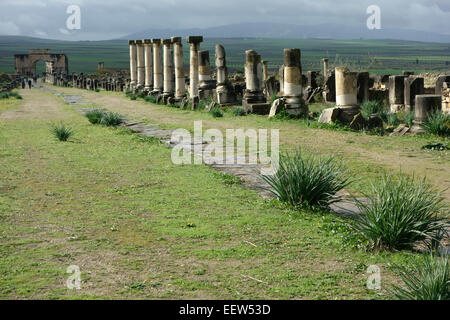 Ruines romaines de Volubilis, Maroc, Afrique Banque D'Images