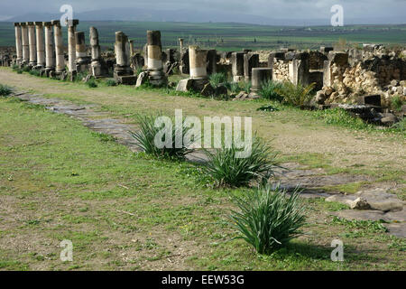 Ruines romaines de Volubilis, Maroc, Afrique Banque D'Images