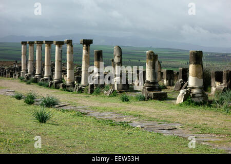 Ruines romaines de Volubilis, Maroc, Afrique Banque D'Images